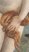 The Birth of Venus (mk36) Sandro Botticelli